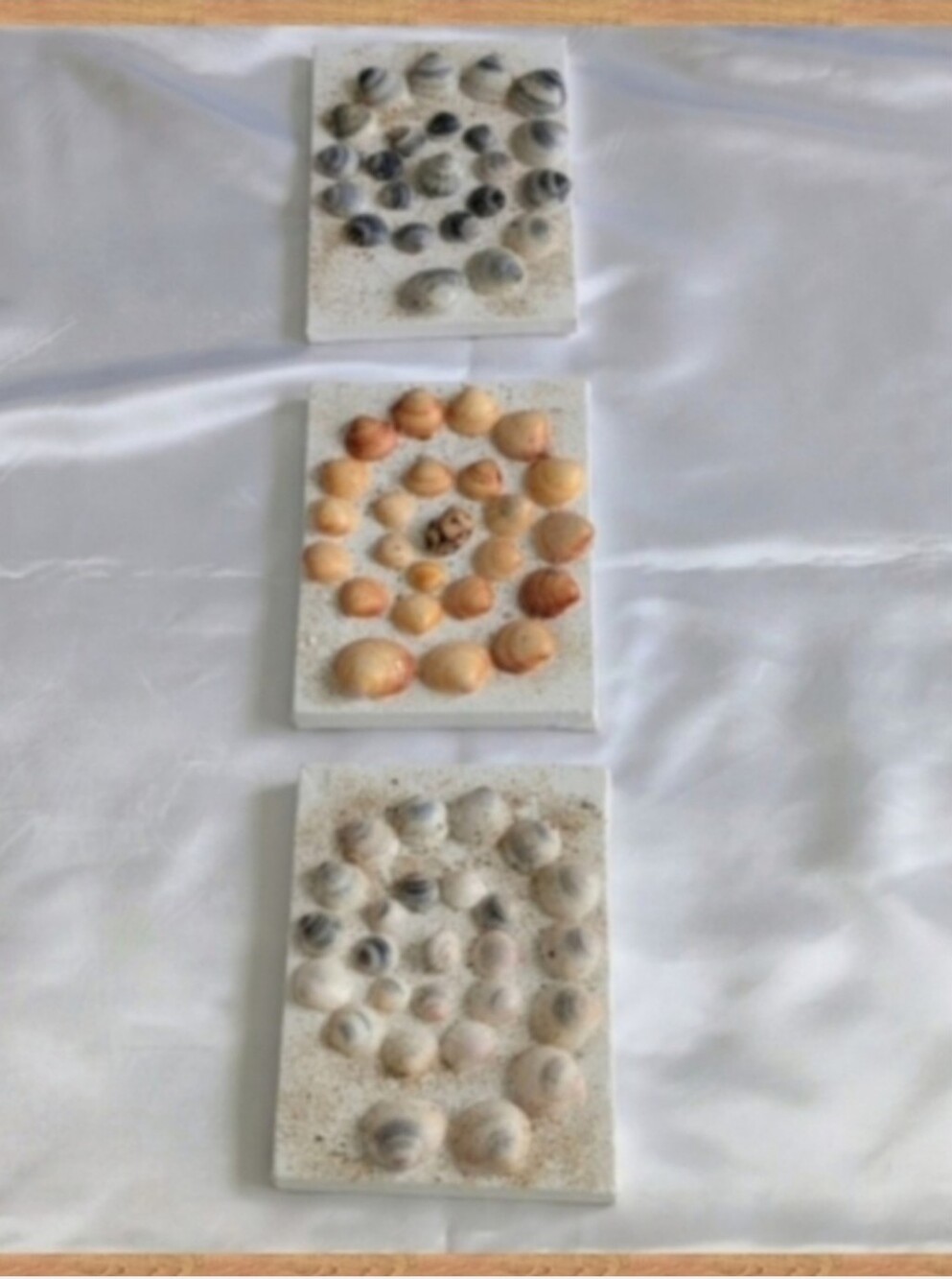 Set of three shell art panels. Perfect for girls bedroom! Seashell Art Trio - Picture 3 of 9